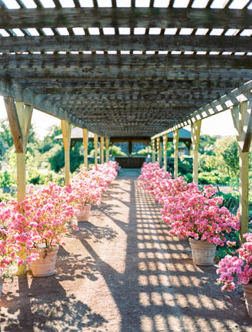 Clark Gardens Botanical Park